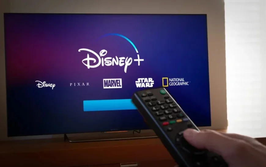 Disney+ faces refund push after HDR formats removed, consumer group says