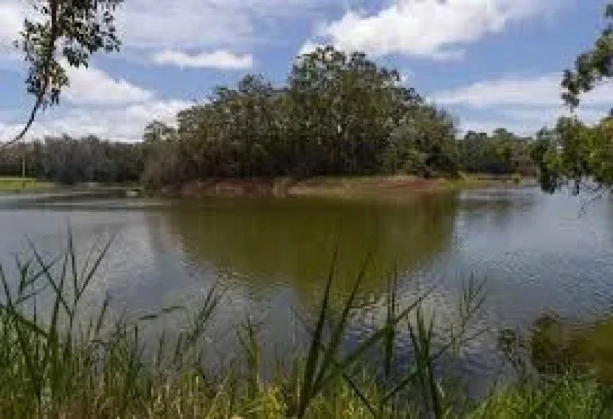 Wahiawa Dam danger exposes a fragile window: officials warn of breaching risk as water level nears failure point