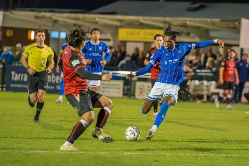 Wealdstone Vs Solihull Moors: Five statistical fault lines shaping a lunchtime showdown