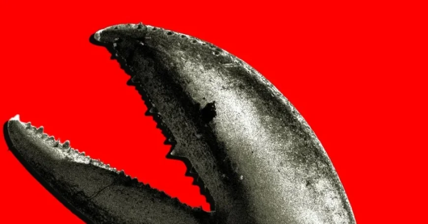 AI Companies Thrive Amid China’s OpenClaw Boom