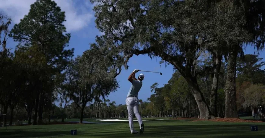 Pga Players Championship: Aberg’s 63 Sparks Shock at Sawgrass — 4 Takeaways