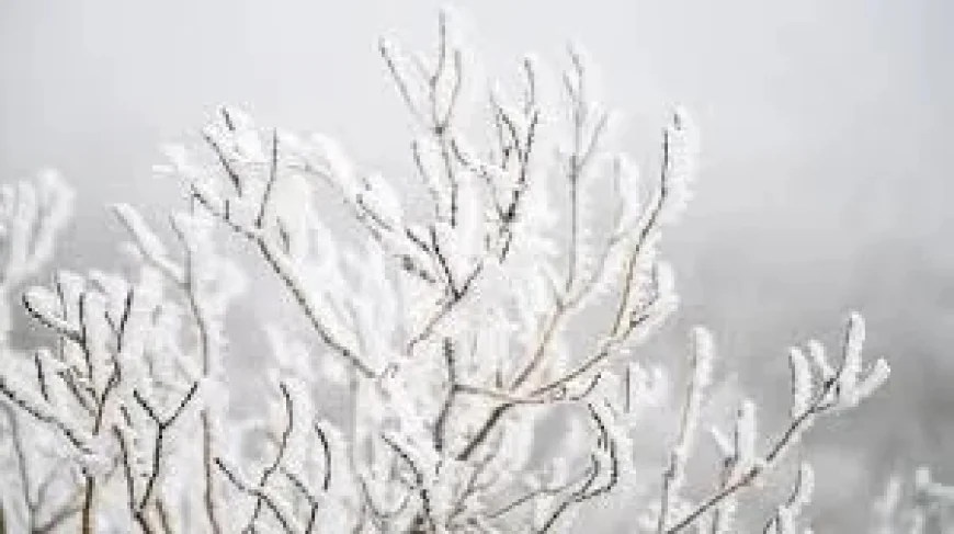 Ireland Weather Snow Sleet: Triple Status Yellow Warnings as 11 Counties Face Snow-Ice