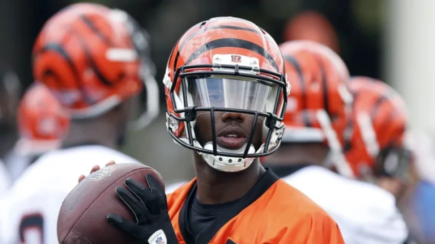 Josh Johnson Rejoins Bengals for Third Cincinnati Stint