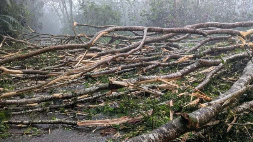 Hawaii Flash Flooding: In the Darkened Aisles, a Storm’s Aftermath Becomes Personal