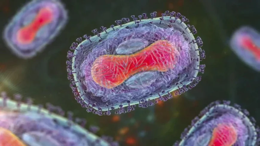 Mpox Clade I detected in New York City as officials issue urgent advisory