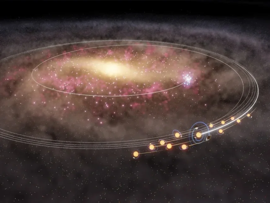 Sun and its ‘twins’: the long migration that reshaped our neighborhood in the Milky Way