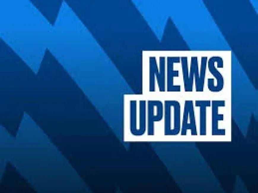 Palmeiras Vs Mirassol: Synthetic Return and a 2026 Recovery Mission