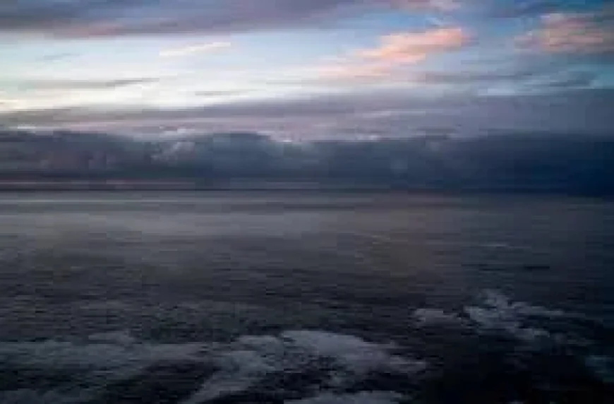 Abc: Stripped of life — the deadly South Australian algal bloom is still spreading one year on