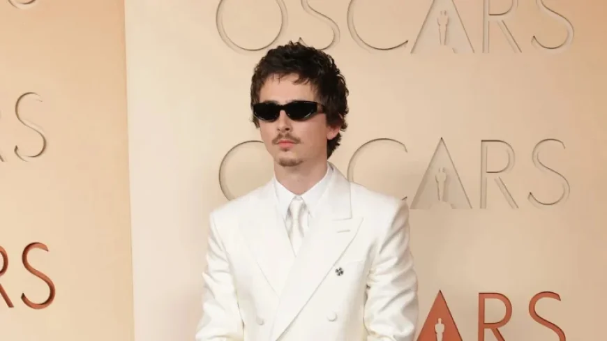 Timothée Chalamet Wows in Y2K Boy Band Style at 2026 Oscars