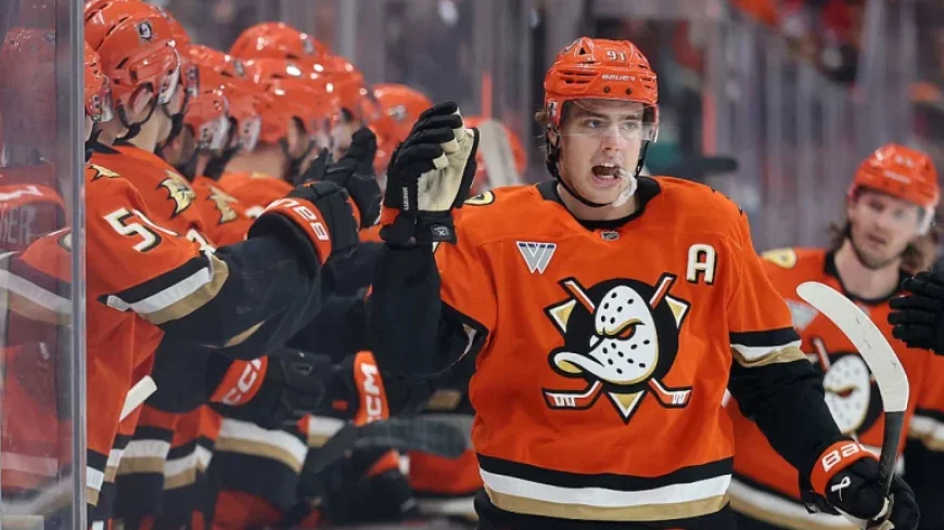 Leo Carlsson: From the Kreider Feed to a Pair of Points — An Unfinished Surge