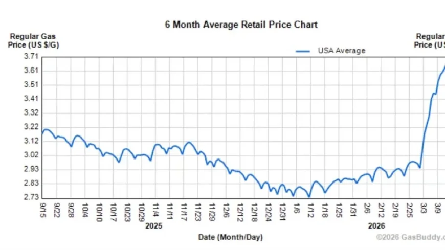 Evaluating the Impact of the New Energy Crisis: Costs and Benefits