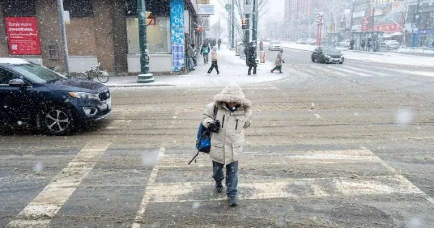 Snow Storm Weather Forecast: Toronto Warned of Snow, Freezing Rain and Gusty Winds