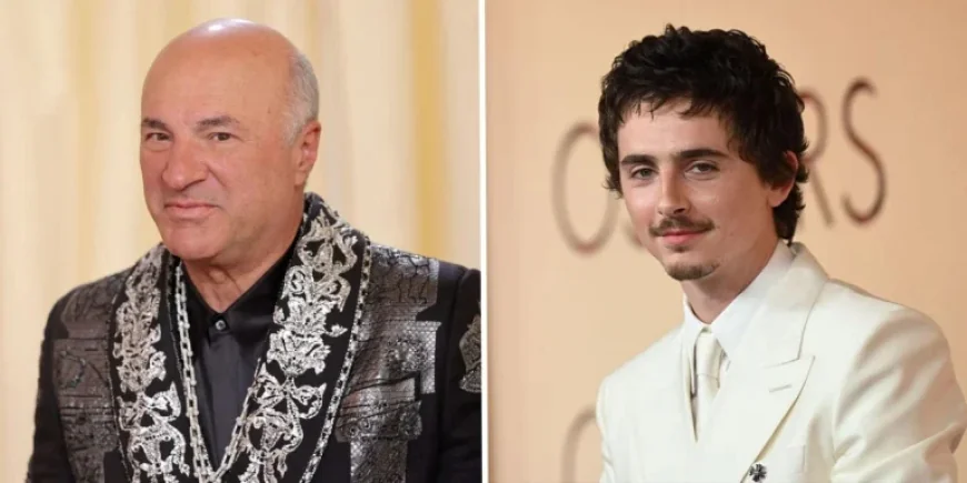 Marty Supreme: Has Hollywood Golden Boy Timothée Chalamet Lost His Shine? — Kevin O’Leary Bets on a Comeback