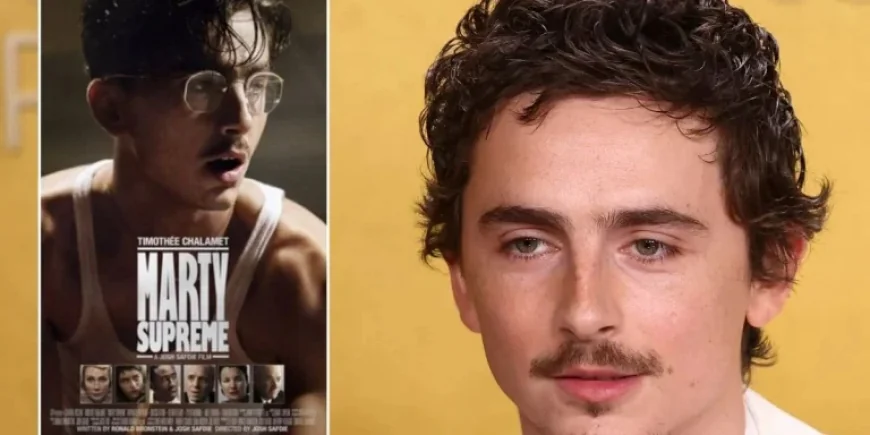 Timothee Chalamet Ballet Comment: Ping-Pong Role Sparks Performing Arts Backlash