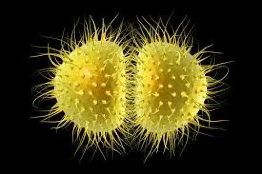 Meningitis outbreak in Kent: second death confirmed as students urged to watch for symptoms