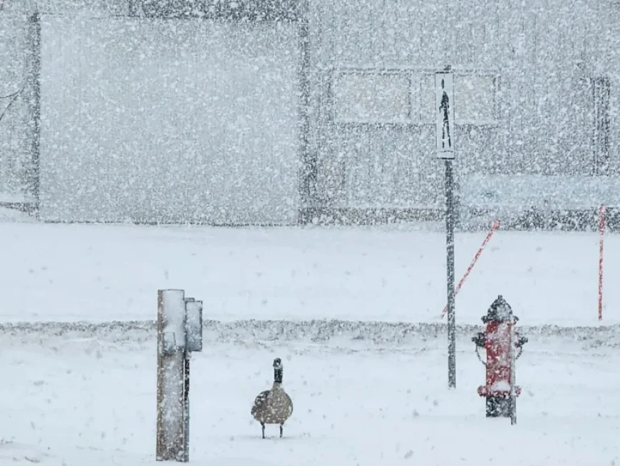 Winnipeg Weather: Winter Keeps a Grip as Roads Turn Snow-Packed and Icy