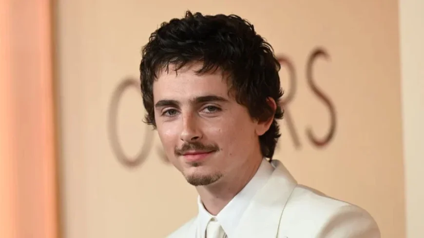 Timothée Chalamet’s 2026 Oscars Outfit Sparks Fan Debate