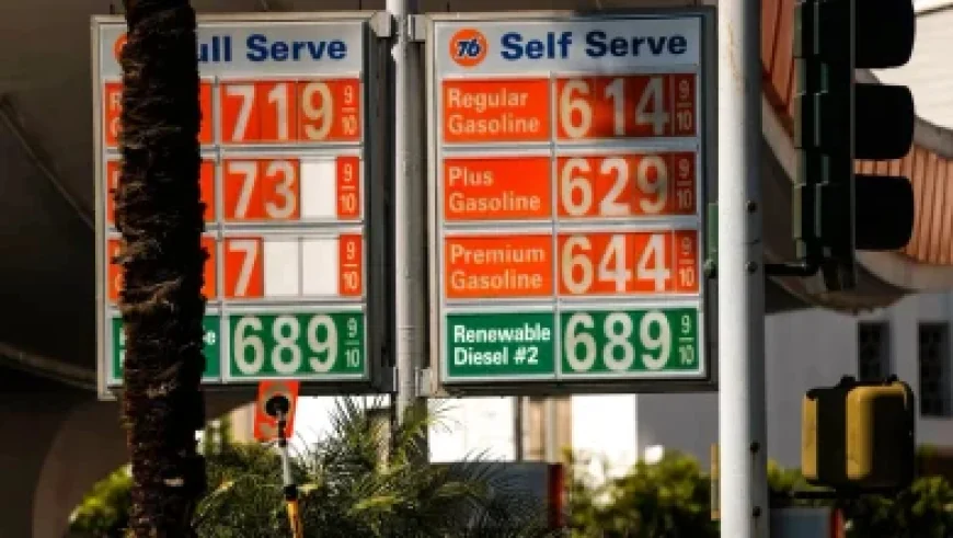 Dictionary Takes Legal Action Against OpenAI