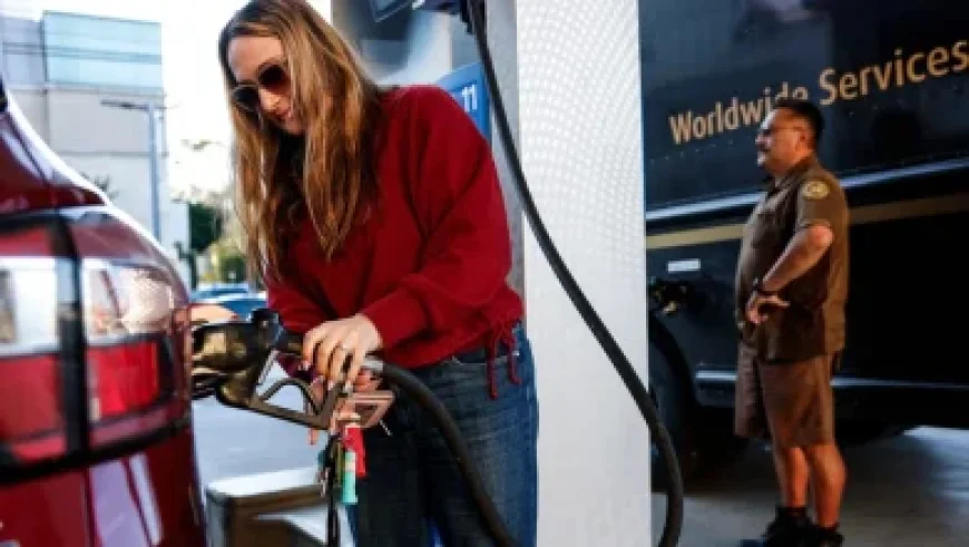 Bitmine Immersion (BMNR) Reveals $11.5 Billion in Crypto, Cash, ETH Reserves