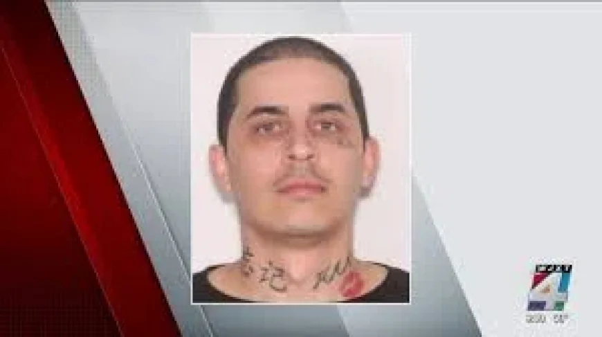 St Patricks Day, and the myths that follow one man’s long journey