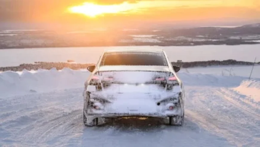 St. Patrick’s Day 2026: Top Restaurant Deals and Freebies