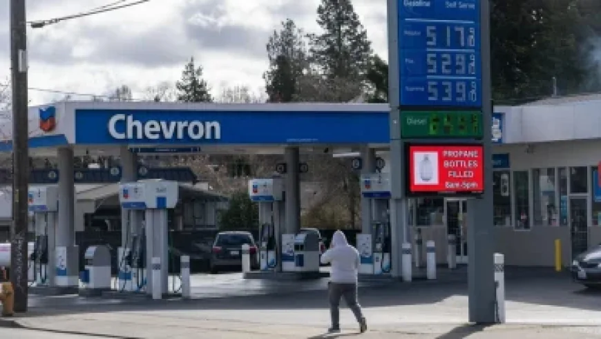 CBS News Staffers Strike in Bari Weiss’ Union Dispute