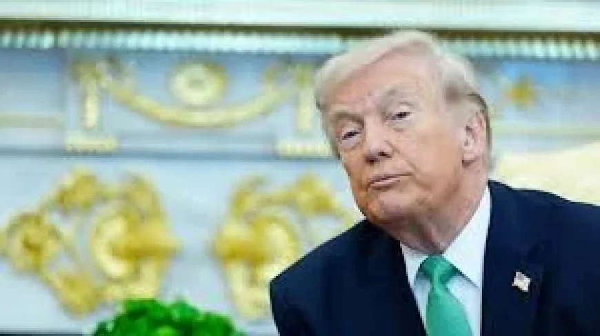 Nato under strain after US president says allies’ help is unwanted