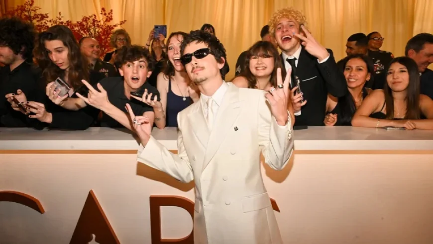 Timothée Chalamet Pauses Career Until Dune 3 Releases