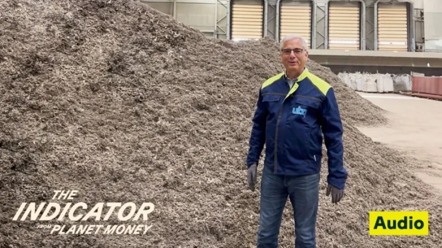 “Planet Money’s NPR Indicator Delivers Economic Insights”