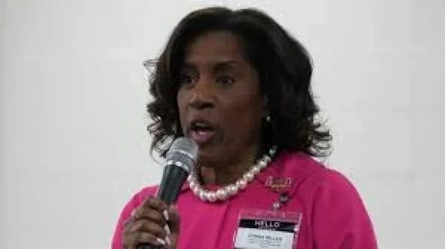 Donna Miller and the Illinois 2nd District inflection point after a crowded primary field