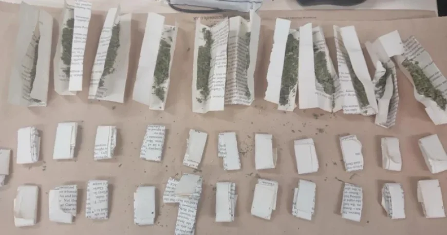 Southampton Vs Norwich City: Championship context as the clubs meet at St. Mary’s