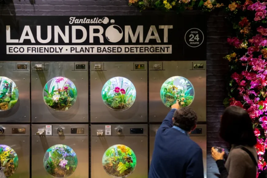 Mr Flower Fantastic: Orchid Nights Turns the Conservatory Into a Dreamlike NYC After Dark