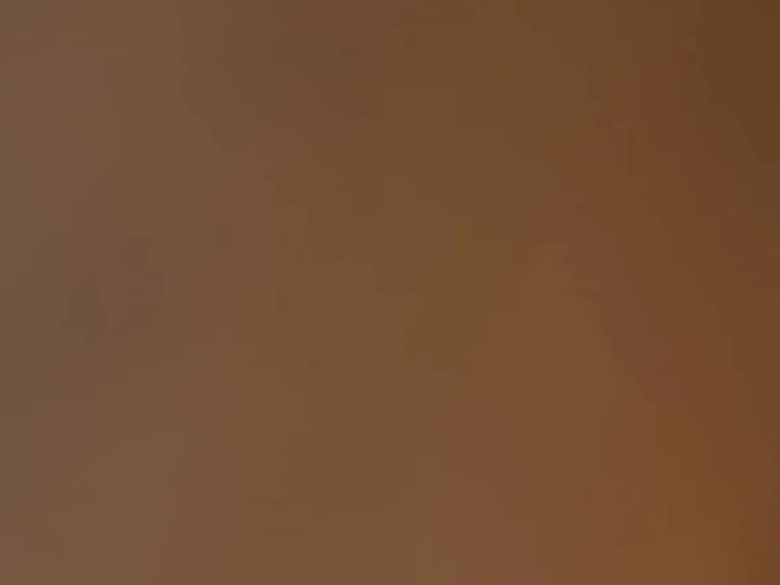 Sarah Jeanne Labrosse: Fourth Season Surprise — Terrace Becomes a Nursery in Ambitious Renovation Turn