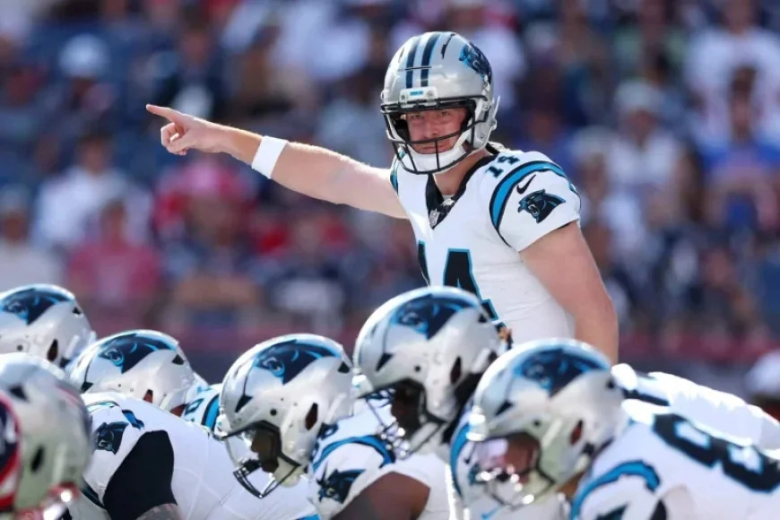 Eagles Acquire QB Andy Dalton from Panthers: Sources