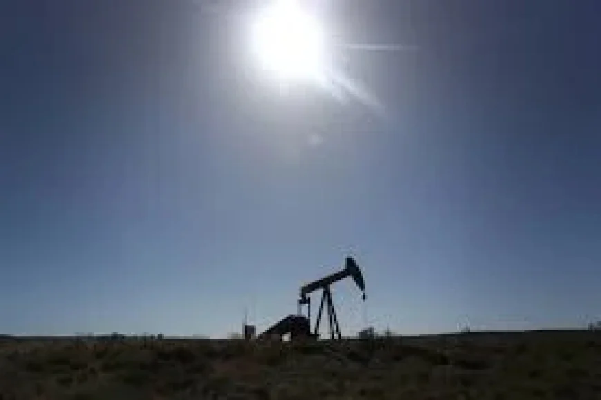 Nsw fuel squeeze: 3 pressure points as watchdog probes alleged price-gouging and a new coordinator takes charge