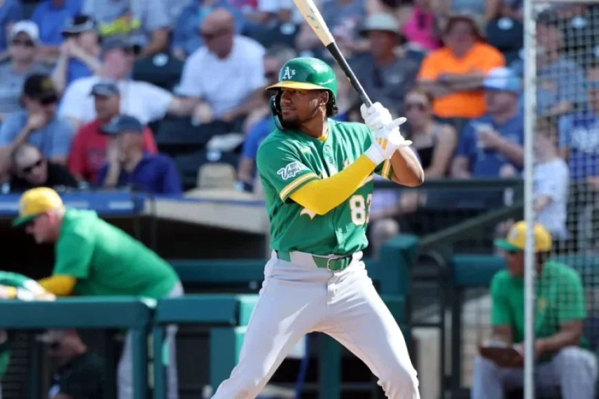 2026 MLB Spring Breakout Rosters Ranked by Tiers