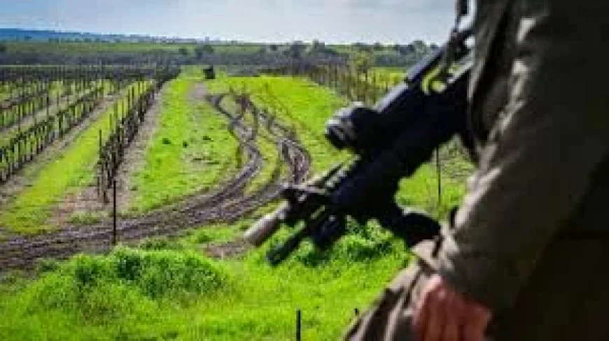 Steve Sweeney and the split-second when a broadcast becomes a battlefield