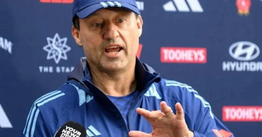 Joe Chan Nrl: Daley’s Eligibility Shake-Up and the Young Faces Now in Line for Origin