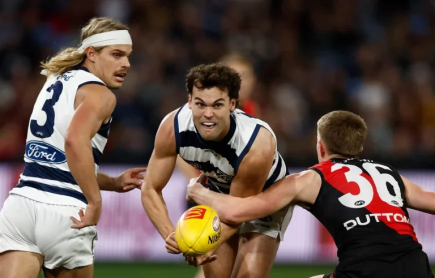 Vfl Scores: Hawks Locked In for Season Opener as EDFL Players Spread Across the League