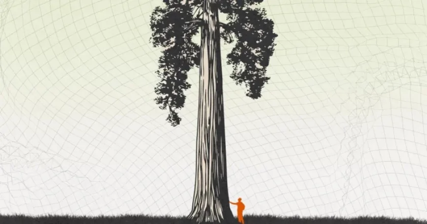 AI Doesn’t Define Us: We Are More Than Our Tools