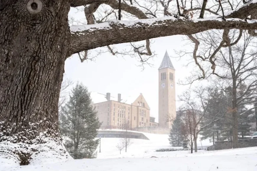 Cornell, the Price of a Master’s, and the Weeds That Won’t Die: Inside a Campus Question With Real-World Stakes