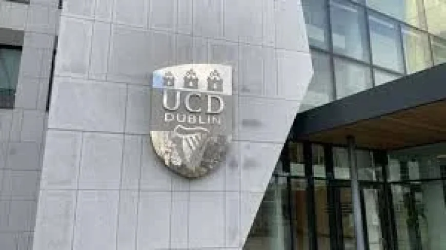 Ucd Stephen Davis case reveals alleged campus account breaches and unanswered questions