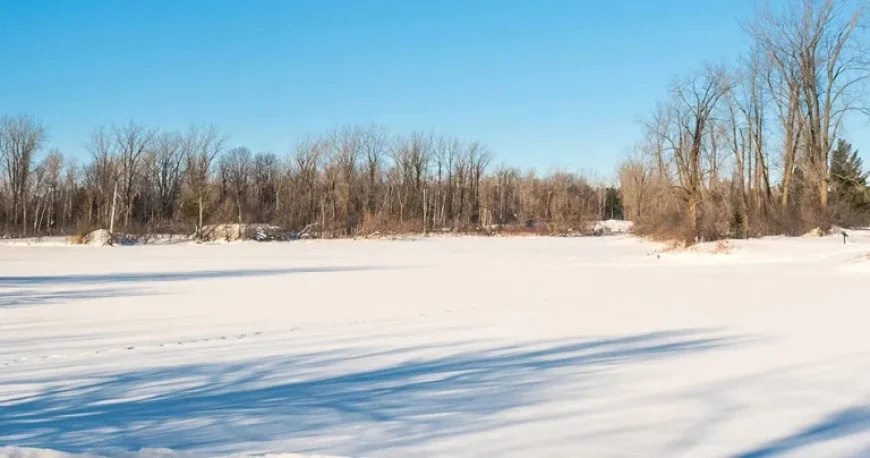 Blainville Fauvel Lakes: Local tests expose an oxygen shortfall behind recent fish deaths