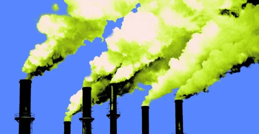 Energy Watchdog Encourages Global Shift to Remote Work