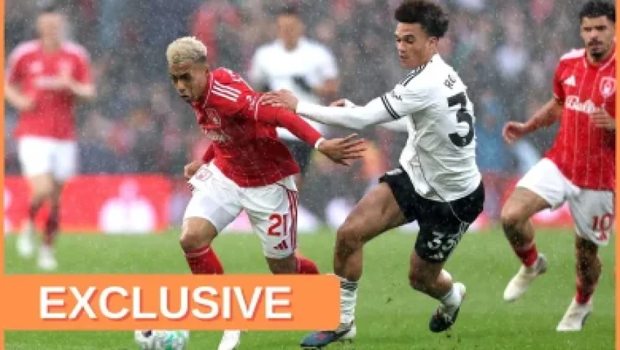 Jokic Joke and Tactical Reality: 3 Surprising Takeaways from Rajakovic’s Road Game Plan