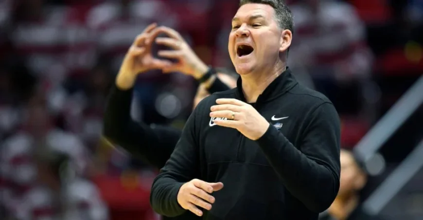 Arizona Wildcats React to NCAA First-Round Victory Over Long Island