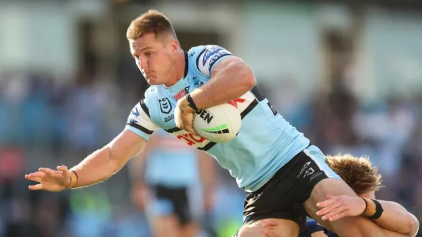 Ocean Protect Stadium: Sharks’ Teig Wilton Eyes Return as Dolphins Reorganise