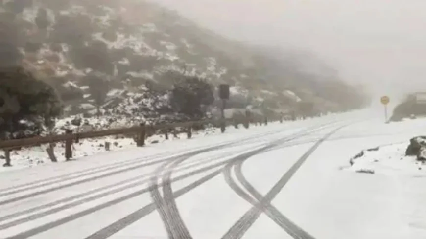 Tenerife Weather Warnings: Snow on Teide, Orange Alerts and Travel Disruption