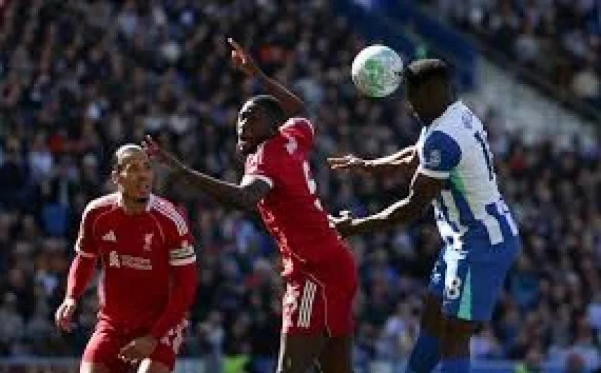 Danny Welbeck Joins Ibrahimovic Club and Sets Personal Premier League Record — Ageing Like Fine Wine