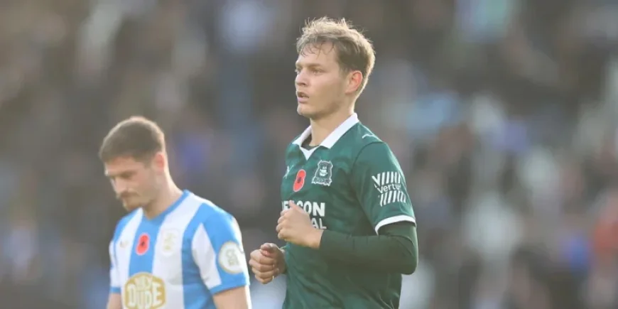 Plymouth Vs Huddersfield: Crucial Top-Six Six-Pointer and Fitness Questions Loom